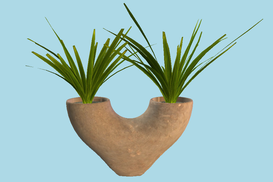 Vase Plant 3d model